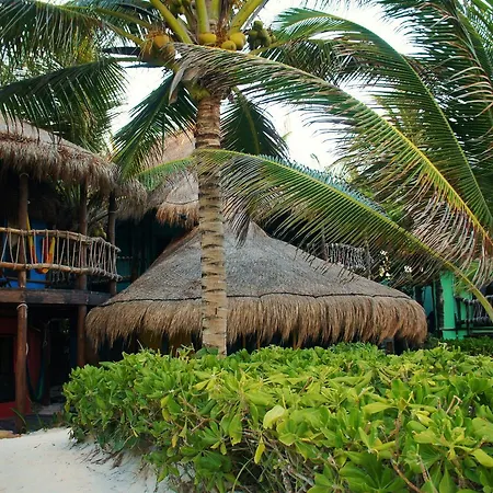 Cabañas La Luna